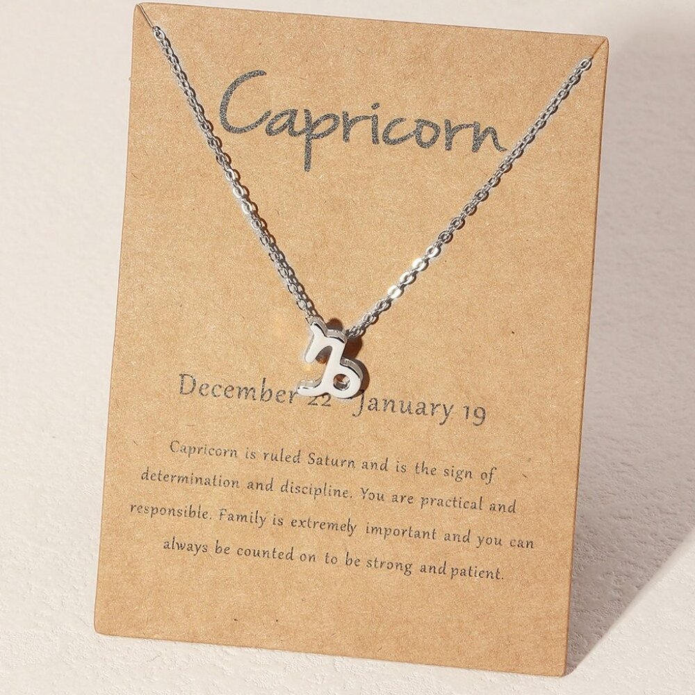 Capricorn Zodiac Necklace Stainless steel